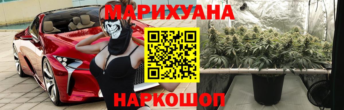 Каннабис индика  Бошки Шишки AK-47  Кунгур  Каннабис план  Вход с VPN 